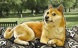 狗币什么地方能下载 狗狗币专业版V1.6.0下载软件