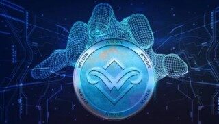 柚子币app手机端最新 柚子币安卓版下载地址