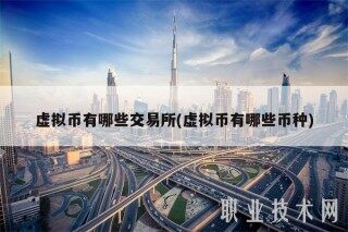 虚拟币有哪些交易所(虚拟币有哪些币种)