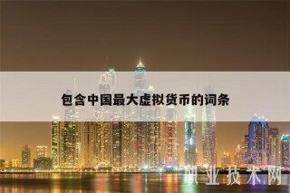 包含中国最大虚拟货币的词条