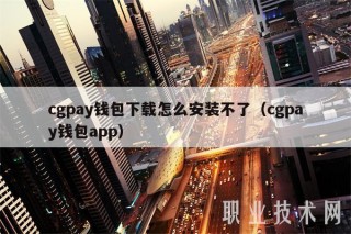 cgpay钱包下载怎么安装不了(cgpay钱包app)
