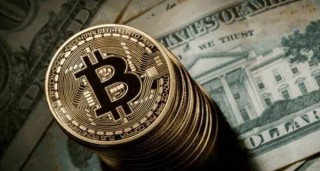 XVS今日价格是多少