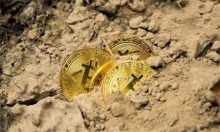 BO币今日最新价格行情