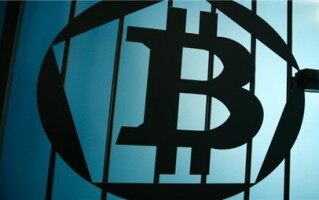 Arbitrum链上宠物xPET爆火！采用XPET、BPET双代币模式