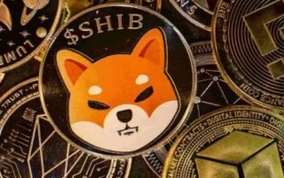shib币马斯克(shin币马斯克)