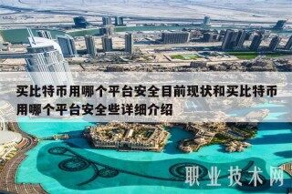买比特币用哪个平台安全目前现状和买比特币用哪个平台安全些详细介绍