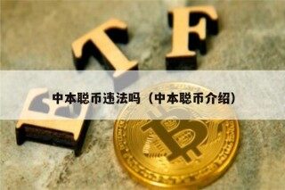 中本聪币违法吗(中本聪币介绍)