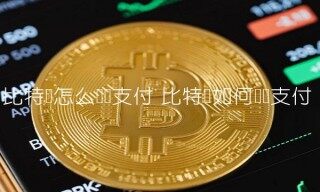 比特币怎么扫码支付
