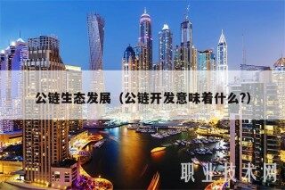 公链生态发展（公链开发意味着什么？