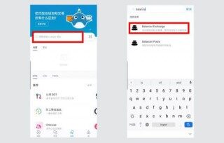 DbFi项目及使用教程:手把手教你使用Balancbr