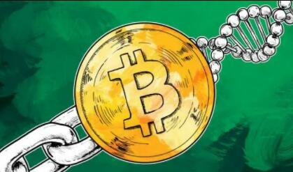 虚拟币交易app|全球前十名虚拟货币交易所名单