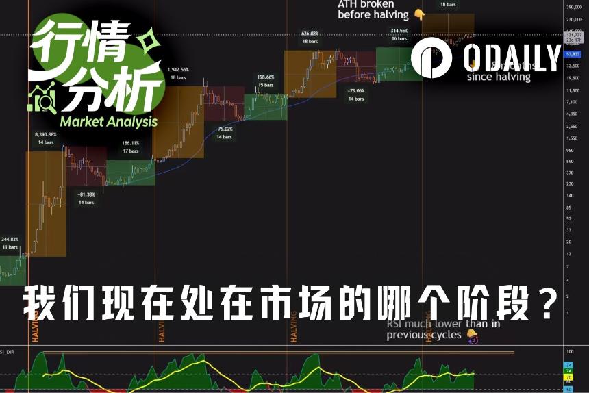 数据破译BTC周期:三大见底信号齐亮,Q4或成关键转折窗口?